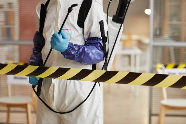 Professional Sewage Cleanup technician working in Spring City, TN